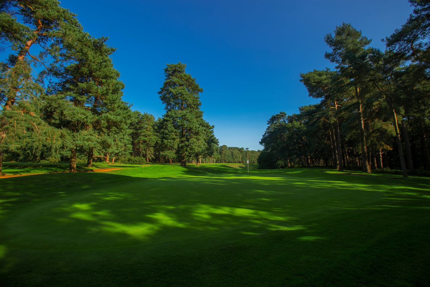 UK Metering Golf Day 2025 - Woburn Golf Club