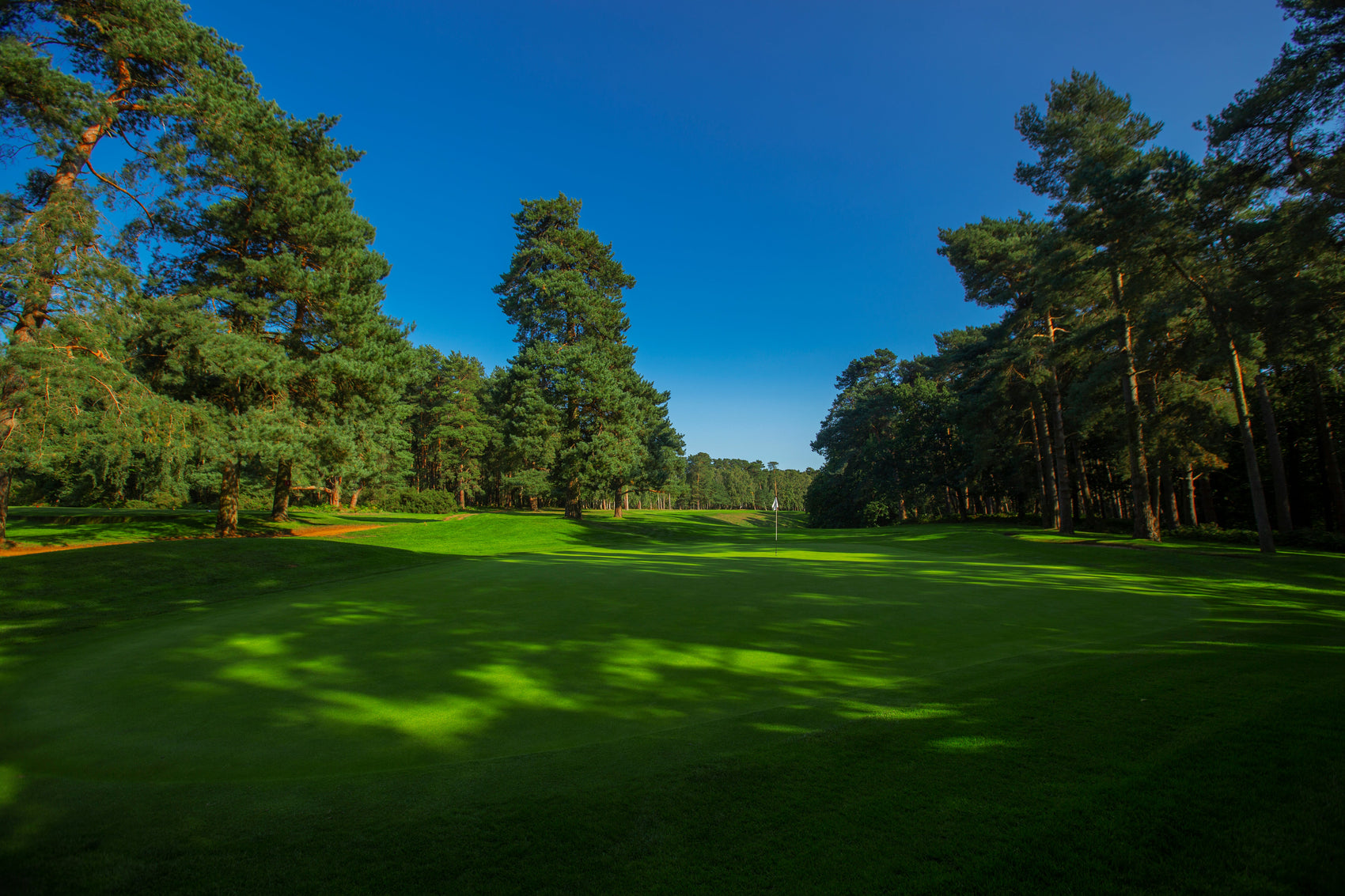 UK Metering Golf Day 2025 - Woburn Golf Club
